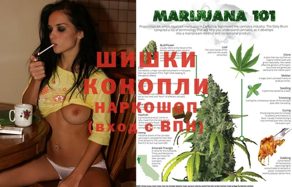 индика Алексеевка