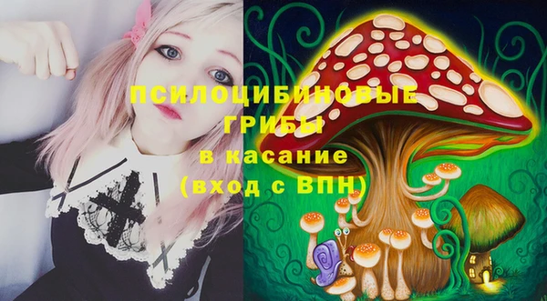 гашик Алексин
