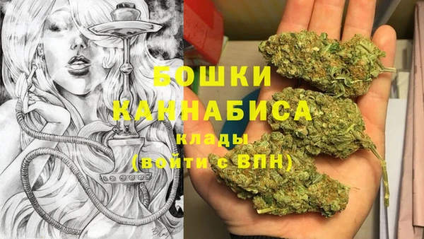 индика Алексеевка