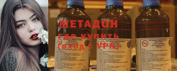 гашик Алексин