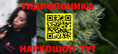 бошки Гудермес