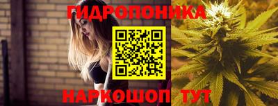 бошки Гудермес