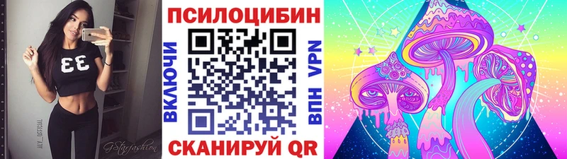 Псилоцибиновые грибы Psilocybine cubensis где купить наркотик Курган